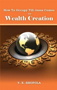 Baixar How to occupy till jesus comes – wealth creation pdf, epub, eBook