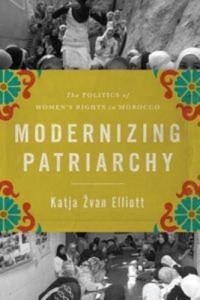Baixar Modernizing patriarchy pdf, epub, eBook