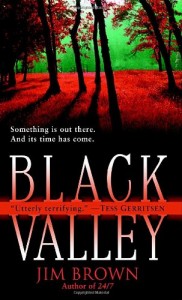 Baixar Black valley pdf, epub, eBook