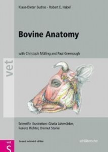 Baixar Bovine anatomy pdf, epub, eBook