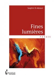 Baixar Fines lumieres pdf, epub, eBook