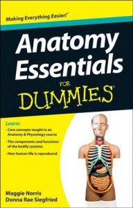 Baixar Anatomy essentials for dummies pdf, epub, eBook