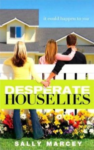 Baixar Desperate house lies pdf, epub, eBook