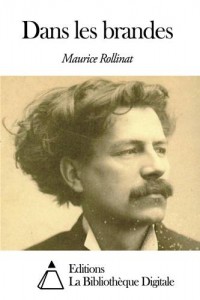Baixar Dans les brandes pdf, epub, eBook