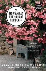 Baixar Now and at the hour of our death pdf, epub, eBook