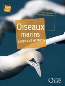Baixar Oiseaux marins pdf, epub, eBook