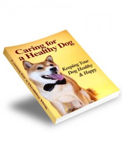 Baixar Caring for a healthy dog pdf, epub, eBook