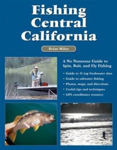 Baixar Fishing central california pdf, epub, eBook