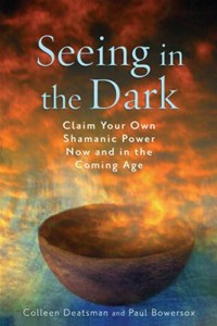 Baixar Seeing in the dark: claim your own shamanic pdf, epub, eBook