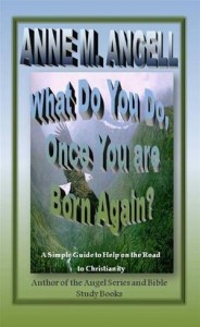 Baixar What do you do, once you are born again? pdf, epub, eBook