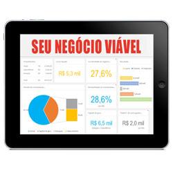 Baixar Seu Negócio Lucrativo pdf, epub, eBook