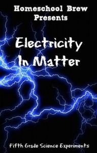Baixar Electricity in matter pdf, epub, eBook