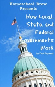 Baixar How local, state, and federal governments work pdf, epub, eBook