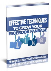Baixar Effective ways to grow facebook fanbase pdf, epub, eBook