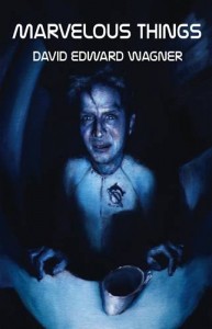 Baixar Marvelous things pdf, epub, eBook