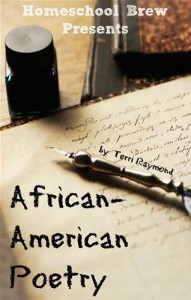 Baixar African-american poetry pdf, epub, eBook