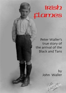 Baixar Irish flames pdf, epub, eBook