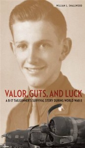 Baixar Valor, guts, and luck pdf, epub, eBook