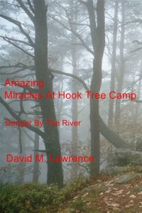 Baixar Amazing miracles at hook tree camp pdf, epub, eBook