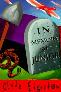 Baixar In memory of junior pdf, epub, eBook