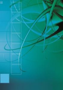 Baixar Story of a confederate boy in the civil war, the pdf, epub, eBook