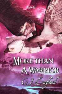 Baixar More than a warrior pdf, epub, eBook