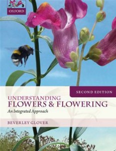 Baixar Understanding flowers and flowering second pdf, epub, eBook