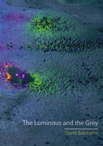 Baixar Luminous and the grey, the pdf, epub, eBook