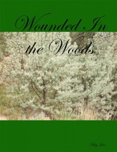 Baixar Wounded in the woods pdf, epub, eBook