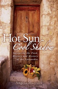 Baixar Hot sun, cool shadow pdf, epub, eBook