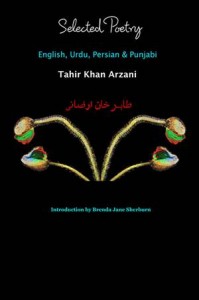Baixar Selected poetry english, urdu, persian & pdf, epub, eBook