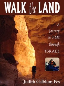Baixar Walk the land pdf, epub, eBook