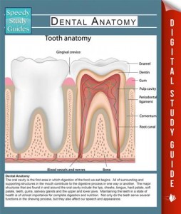 Baixar Dental anatomy (speedy study guides) pdf, epub, eBook