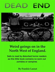 Baixar Dead end pdf, epub, eBook