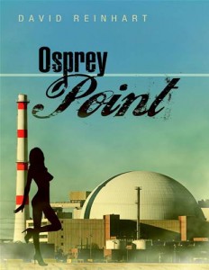 Baixar Osprey point pdf, epub, eBook