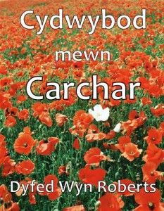 Baixar Cydwybod mewn carchar pdf, epub, eBook