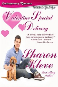Baixar Valentine special delivery pdf, epub, eBook
