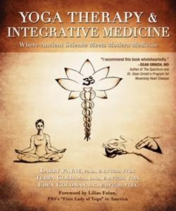 Baixar Yoga therapy and integrative medicine pdf, epub, eBook