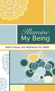 Baixar Illumine my being pdf, epub, eBook