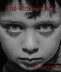 Baixar Widow’s son, the pdf, epub, eBook