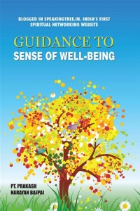Baixar Guidance to sense of well-being pdf, epub, eBook