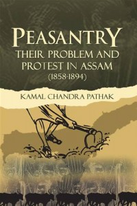 Baixar Peasantry their problem and protest in assam pdf, epub, eBook