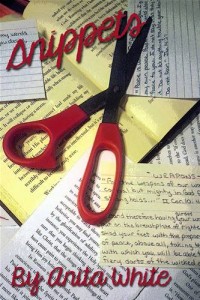 Baixar Snippets pdf, epub, eBook
