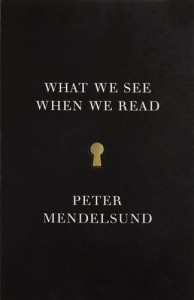 Baixar What we see when we read pdf, epub, eBook