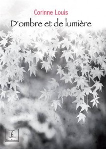 Baixar D’ombre et de lumiere pdf, epub, eBook