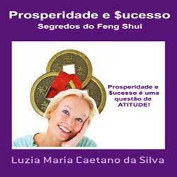 Baixar E-book Prosperidade e $ucesso pdf, epub, eBook