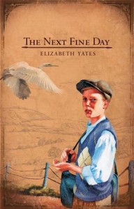 Baixar Next fine day, the pdf, epub, eBook