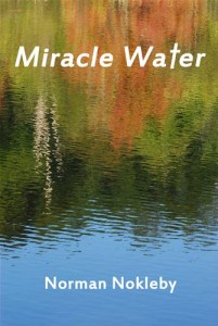 Baixar Miracle water pdf, epub, eBook
