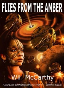 Baixar Flies from the amber pdf, epub, eBook