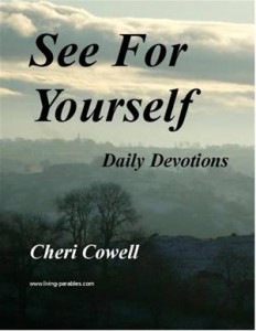 Baixar See for yourself: 52 weeks of devotions pdf, epub, eBook